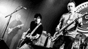 The Chameleons