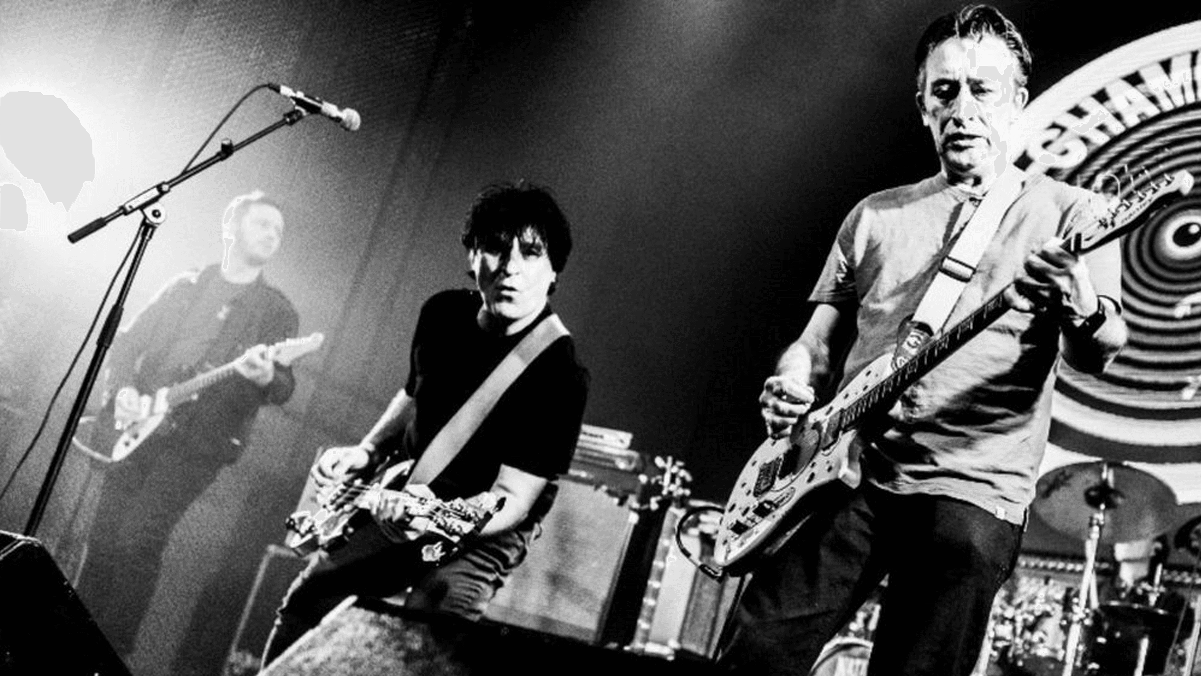 The Chameleons