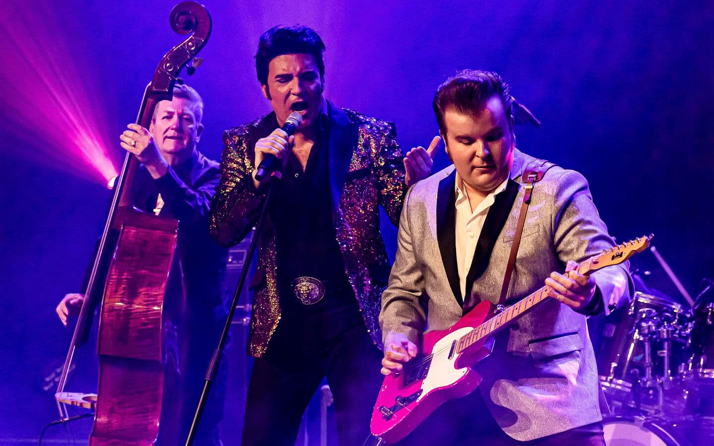 The Elvis Concert