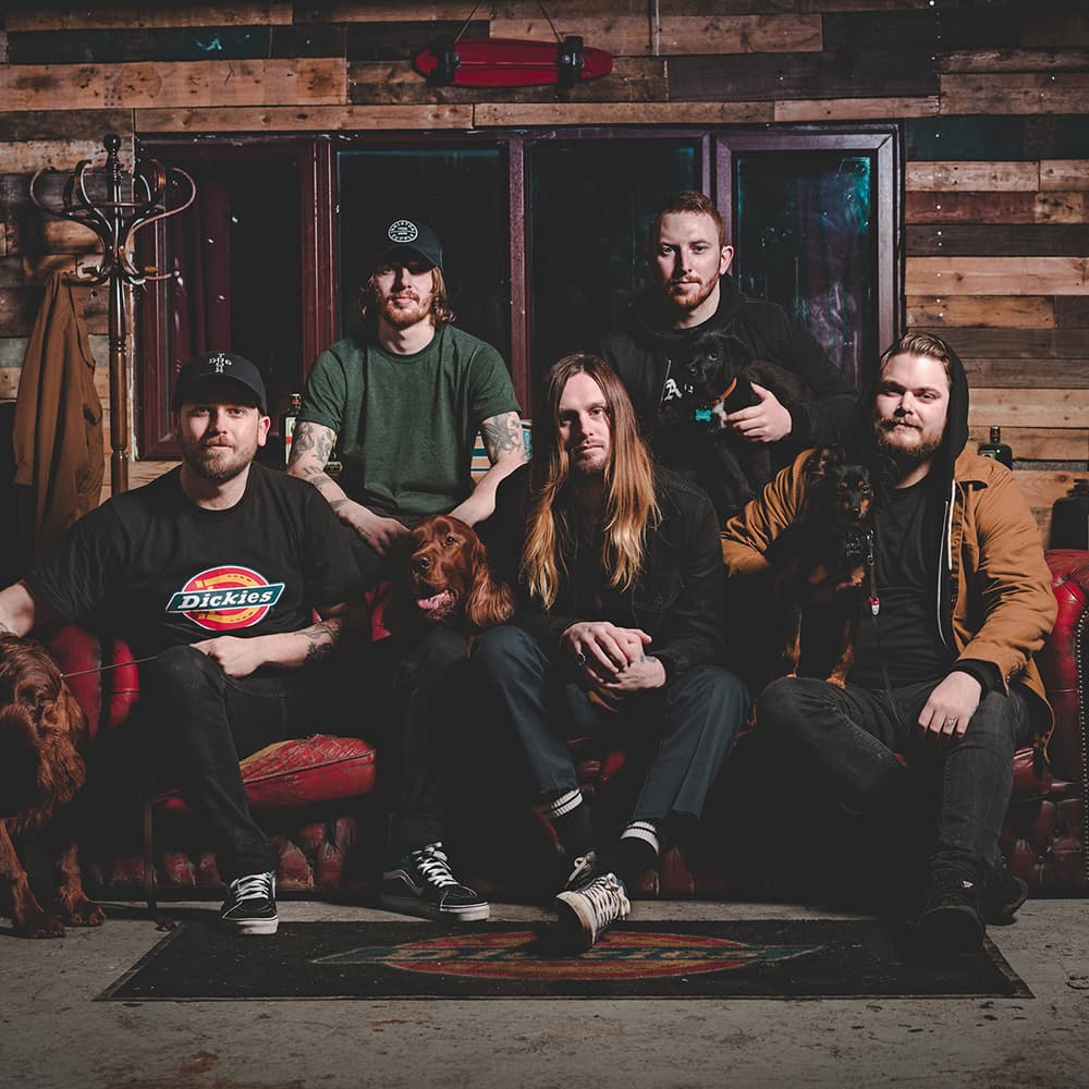 While She Sleeps