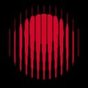 Year of No Light